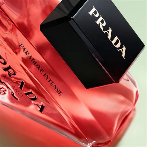 paradoxe prada druni|fragrantica Prada paradoxe intense.